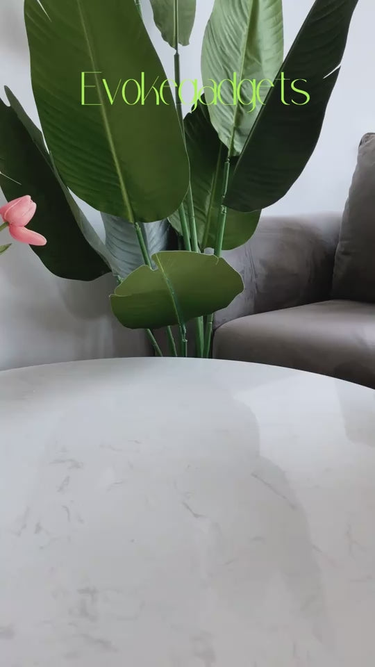 635e7e44-3980-42fc-84d1-5d4c3a693596-0307 (5).mp4